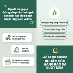 Thumbnail Mặt nạ ngủ phục hồi và nuôi dưỡng da LANEIGE Cica Sleeping Mask 60ML 2