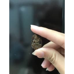 Thumbnail Mặt phật bản mệnh 12 con giáp (Đeo tay) Trầm hương cho nam nữ - Xưởng Mộc Việt 2