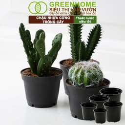 Thumbnail Chậu Trồng Cây Greenhome, 28x24cm, Nhựa Cứng, Thoát Nước Tốt, Nhiều Kích Thước Trồng Hoa, Kiểng Lá 4