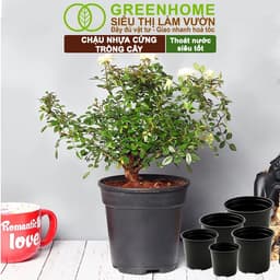 Thumbnail Chậu Trồng Cây Greenhome, 28x24cm, Nhựa Cứng, Thoát Nước Tốt, Nhiều Kích Thước Trồng Hoa, Kiểng Lá 3