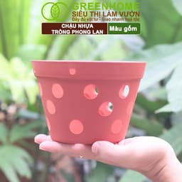Thumbnail Chậu Trồng Lan Greenhome, R15xC10cm,  Nhựa Màu Gốm, Bền, Đẹp, Chống Rơi Vỡ, Thoáng Rễ, Giá Thành Tốt 2