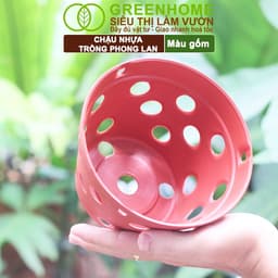 Thumbnail Chậu Trồng Lan Greenhome, R15xC10cm,  Nhựa Màu Gốm, Bền, Đẹp, Chống Rơi Vỡ, Thoáng Rễ, Giá Thành Tốt 3