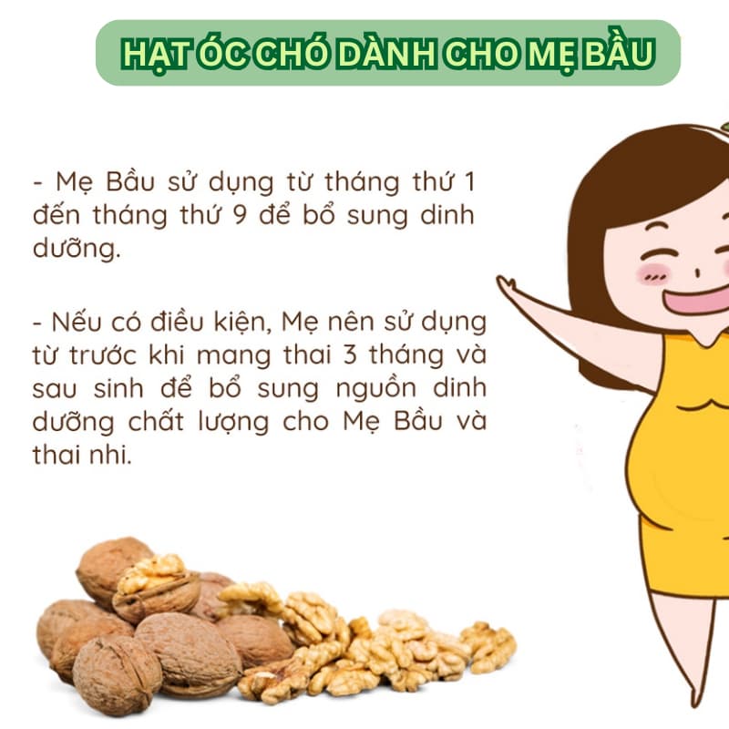 Ảnh Hạt óc chó tách vỏ hữu cơ ONFOD hạt dinh dưỡng nấu sữa hạt làm ngũ cốc cho mẹ bầu, ăn kiêng, giảm cân 3