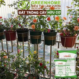Thumbnail Đất Trồng Cây Greenhome, Bao 20dm3 (10kg), Đầy Đủ Dinh Dưỡng, Tiện Lợi, Dễ Sử Dụng, Chuyên Trồng Rau 3