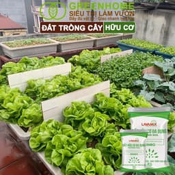 Thumbnail Đất Trồng Cây Greenhome, Bao 6.5dm3 (3kg), Đầy Đủ Dinh Dưỡng, Tiện Lợi, Chuyên Trồng Rau, Hoa, Kiểng 4