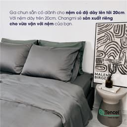 Thumbnail Set 3 món ga gối lụa Cotton Tencel tự nhiên (Châu Âu) 60S Changmi Bedding siêu mềm mượt và mát lạnh 4