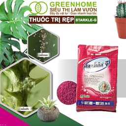 Thumbnail Thuốc Tím Trị Rệp Greenhome, Starkle-G, Bao 50gr, Lưu Dẫn, An Toàn, Hiệu Quả, Dùng Cho Sen Đá 2