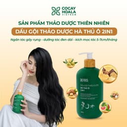 Thumbnail Dầu Gội Thảo Dược Hà Thủ Ô 2in1 Cỏ Cây Hoa Lá 420g - DƯỠNG ẨM CHO TÓC ĐEN MỀM MƯỢT 3