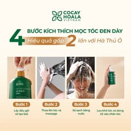 Thumbnail Dầu Gội Thảo Dược Hà Thủ Ô 2in1 Cỏ Cây Hoa Lá 420g - DƯỠNG ẨM CHO TÓC ĐEN MỀM MƯỢT 4