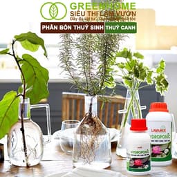 Thumbnail Dung Dịch Thủy Canh Greenhome, Lavamix, Chai 100ml,  Phân Bón Thuỷ Sinh, Hoa Sen, An Toàn Cho Cá 2
