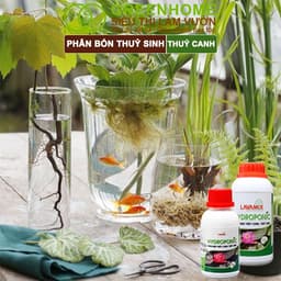 Thumbnail Dung Dịch Thủy Canh Greenhome, Lavamix, Chai 100ml,  Phân Bón Thuỷ Sinh, Hoa Sen, An Toàn Cho Cá 3