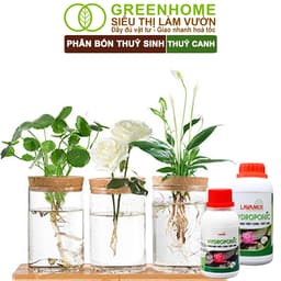 Thumbnail Dung Dịch Thủy Canh Greenhome, Lavamix, Chai 100ml,  Phân Bón Thuỷ Sinh, Hoa Sen, An Toàn Cho Cá 4