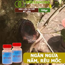 Thumbnail Keo Liền Sẹo Cho Cây Greenhome, Mỹ Tiến, Chai 100gr, Liền Nhanh Vết Cắt Da Cây, Chiết Cành 3