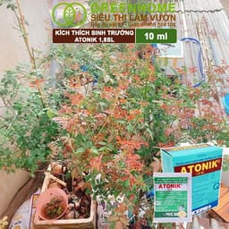Thumbnail Phân bón lá Atonik Greenhome, gói 10ml, thúc đẩy sinh trưởng cây trồng chuyên phong lan, hoa hồng 2