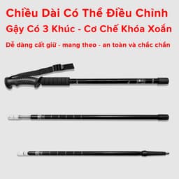 Thumbnail Gậy Leo Núi, Gậy Trekking Từ 63 - 135cm Gậy Chạy Trail Gấp Gọn Đi Du Lịch, Phượt, Dã Ngoại, Chạy Chính Hãng Amalife 3