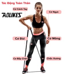 Thumbnail Dây Kháng Lực Toàn Thân Power Band Đa Năng, Dây Đàn Hồi Cao Su Tự Nhiên Hỗ Trợ Tập Thể Thao, Lên Xà, Gym AL3602 Aolikes 3