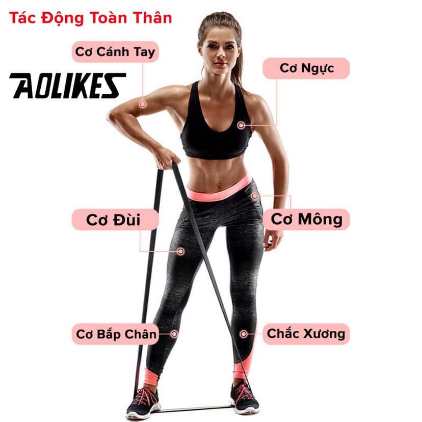 Ảnh Dây Kháng Lực Toàn Thân Power Band Đa Năng, Dây Đàn Hồi Cao Su Tự Nhiên Hỗ Trợ Tập Thể Thao, Lên Xà, Gym AL3602 Aolikes 3