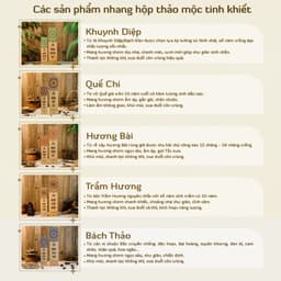 Thumbnail Nhang thơm sạch tinh khiết An An - 100 nén Hương quế, khuynh diệp, trầm hương, Bài, bách thảo 30cm, 40cm đuổi muỗi 4