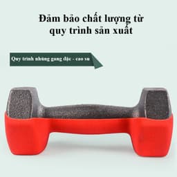 Thumbnail Tạ Tay Nữ Bảo Hành 12 Tháng Tạ Tay Tập Gym Chất Liệu Gang Nguyên Khối Bọc Cao Su Êm Ái Cleacco TTN Boro Sport ( 1 Cái ) 3
