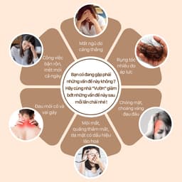 Thumbnail Lược Gỗ Đàn Hương VƯỜN THẢO MỘC massage da đầu,giảm đau đầu và căng thẳng dành cho cả nam và nữ 3