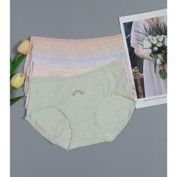 Thumbnail Quần lót nữ cotton Vicci cao cấp kháng khuẩn khử mùi thông hơi thoáng khí đường viền mỏng QV.31 2