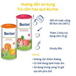 Thumbnail Trà cốm hoa quả Burine bổ sung Vitamin C, tăng đề kháng 1