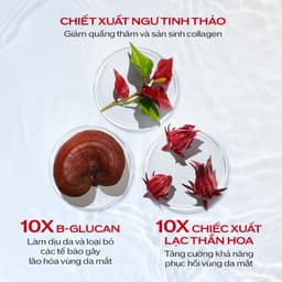 Thumbnail Tinh chất (serum) dưỡng mắt Shiseido Ultimune Power Infusing Eye Concentrate N 3.0 15ml 2