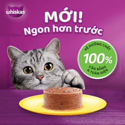 Thumbnail Combo thức Ăn Cho Mèo Trưởng Thành Dạng Pate WHISKAS Mix 3 Vị 400G (dạng lon) 1