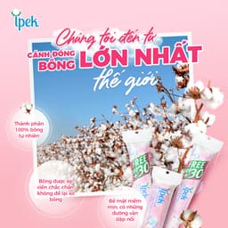 Thumbnail Bông tẩy trang Ipek siêu mềm mịn 80 miếng - IPEK0051 3