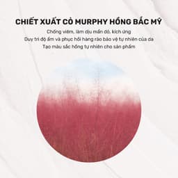 Thumbnail Mặt Nạ Đất Sét Hút Dầu Kiểm Soát Nhờn 12H Derladie Vegan Pink Clay Mask Deep Pore Tightening 2