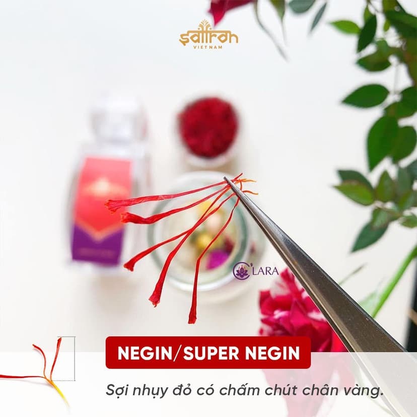 Ảnh Set quà Nhụy hoa nghệ tây cao cấp Saffron SALAM 3Gr (1gr/hũ) 4