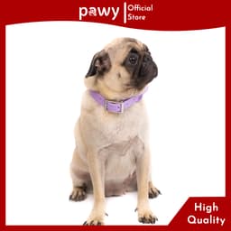 Thumbnail Vòng Cổ Cho Chó Pawy - Flexiwear - Màu Tím - PVC Waterproof Dog Collar 2