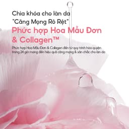 Thumbnail Mặt Nạ Ngủ Laneige Bouncy & Firm Sleeping Mask 60ml tăng cường collagen và làm săn chắc 4