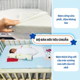 Thumbnail Đệm Cũi Cho Trẻ Sơ Sinh GOLDCAT Chất Liệu Bông Ép Nguyên Chất Dày 5cm, Đa Dạng Kích Thước, Đàn Hồi Linh Hoạt 4