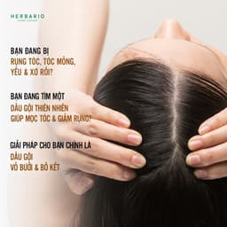 Thumbnail Dầu gội vỏ bưởi và bồ kết HERBARIO 300ml giảm rụng tóc, phục hồi tóc - Mỹ phẩm thuần chay 4