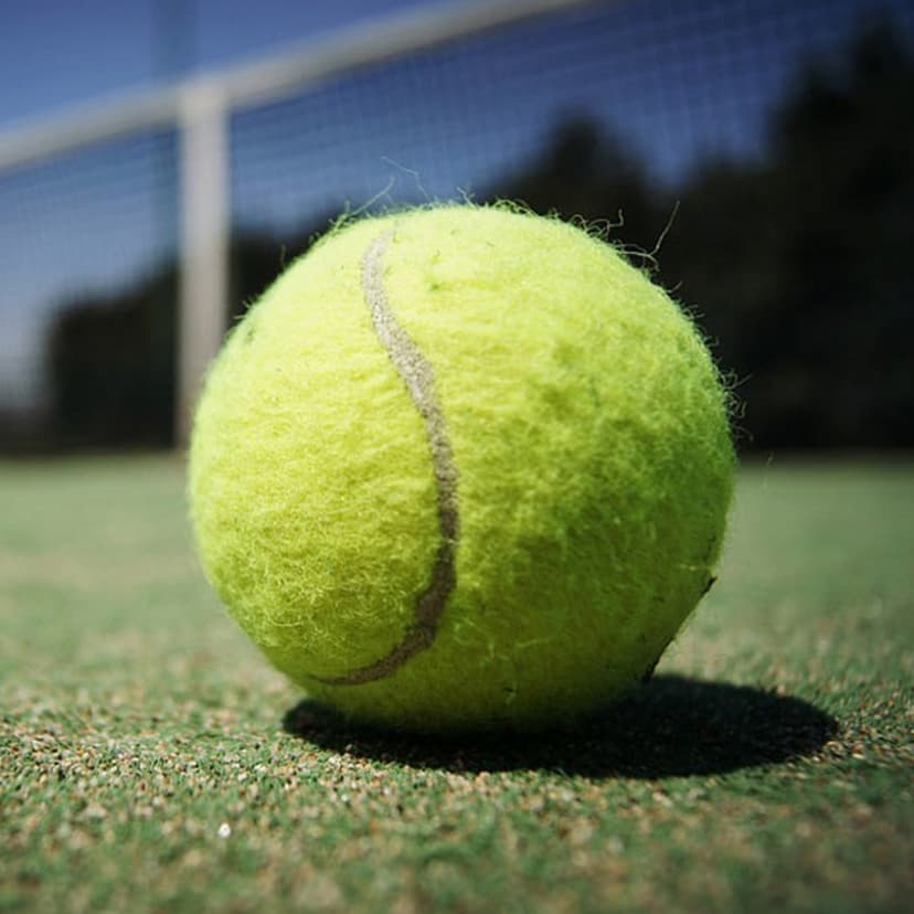 Ảnh Bóng Tennis Chuyên Dụng Mới 100% Được Sử Dụng Phổ Biến Nhất – Độ Nảy Cao 1.35 – 1.47m Chuẩn Quốc Tế Chính Hãng Amalife 2
