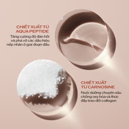 Thumbnail Kem dưỡng mắt Shiseido Benefiance Wrinkle Smoothing Eye Cream 15ml (NC) 1
