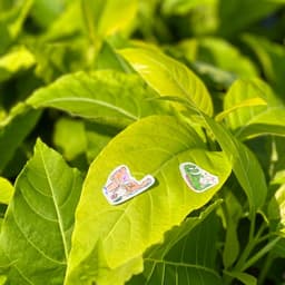 Thumbnail Sticker 12 biểu cảm của Mèo Trắng (tập 2) 2