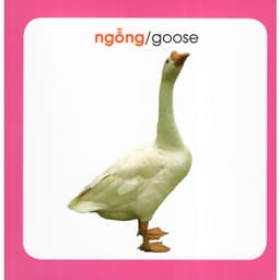 Thumbnail Từ Điển Hình Ảnh Cho Bé - Sách Song Ngữ Anh Việt Bìa Cứng - Kim Đồng 2