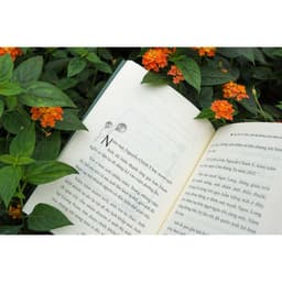 Thumbnail Sách - Sau khi tôi chết, anh ấy không cưới thêm ai nữa - Đinh Tị Books 3