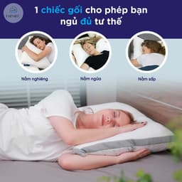 Thumbnail Gối cong Pharmedoc bông mút đàn hồi nâng đỡ cổ, giảm đau HANAKO Phong Cách Quý Tộc Châu Âu 1