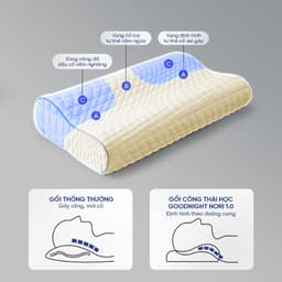 Thumbnail Gối Foam Goodnight Nori 1.0 30*60 lượn sóng nâng đỡ cổ vai gáy 3