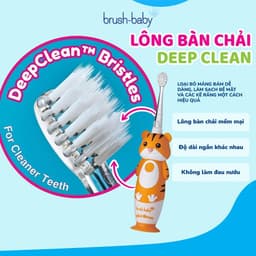 Thumbnail Brush-Baby Bàn chải điện sóng âm WildOnes kèm sạc, 2 chế độ làm sạch răng an toàn và hiệu quả cho bé (0 - 10 tuổi) 4