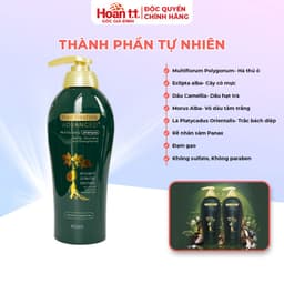 Thumbnail Dầu Gội Phục Hồi Hư Tổn Và Giảm Rụng Tóc Hair Restore Advanced - Lọ Dầu Gội Giúp Tóc Chắc Khỏe Hơn 450ml 320 3