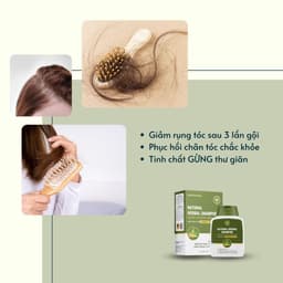 Thumbnail Dầu Gội Gừng đỏ DEGO PHARMA 300ml Dược Liệu Tinh Chất Gừng Đỏ - Phục Hồi Tóc Hư Tổn & Giảm Rụng Tóc 3
