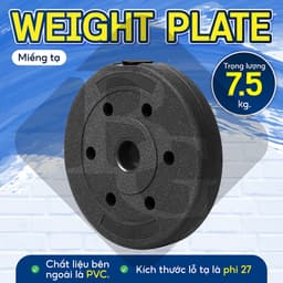 Thumbnail BG - Tạ miếng nhựa đặc ruột tạ bánh  5kg , 7,5kg , 10kg,15KG ,20kg 4