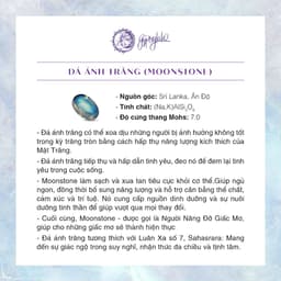 Thumbnail Dây Chuyền 4 Leaf Cỏ 4 Lá Ánh Trăng Bọc Bạc SP006935 Gypsy. 3