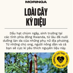 Thumbnail Kem Dưỡng Da Tay Hương Hoa Chùm Ngây Moringa Hand Cream The Body Shop 3