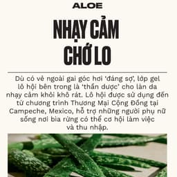 Thumbnail Lăn Khử Mùi Aloe Caring Roll on Deodorant 50ml The Body Shop 1