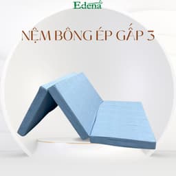 Thumbnail Nệm Bông Ép Gấp 3 Edena, vỏ nệm màu ngẫu nhiên, nệm phẳng giải pháp tối ưu cho cột sống 3